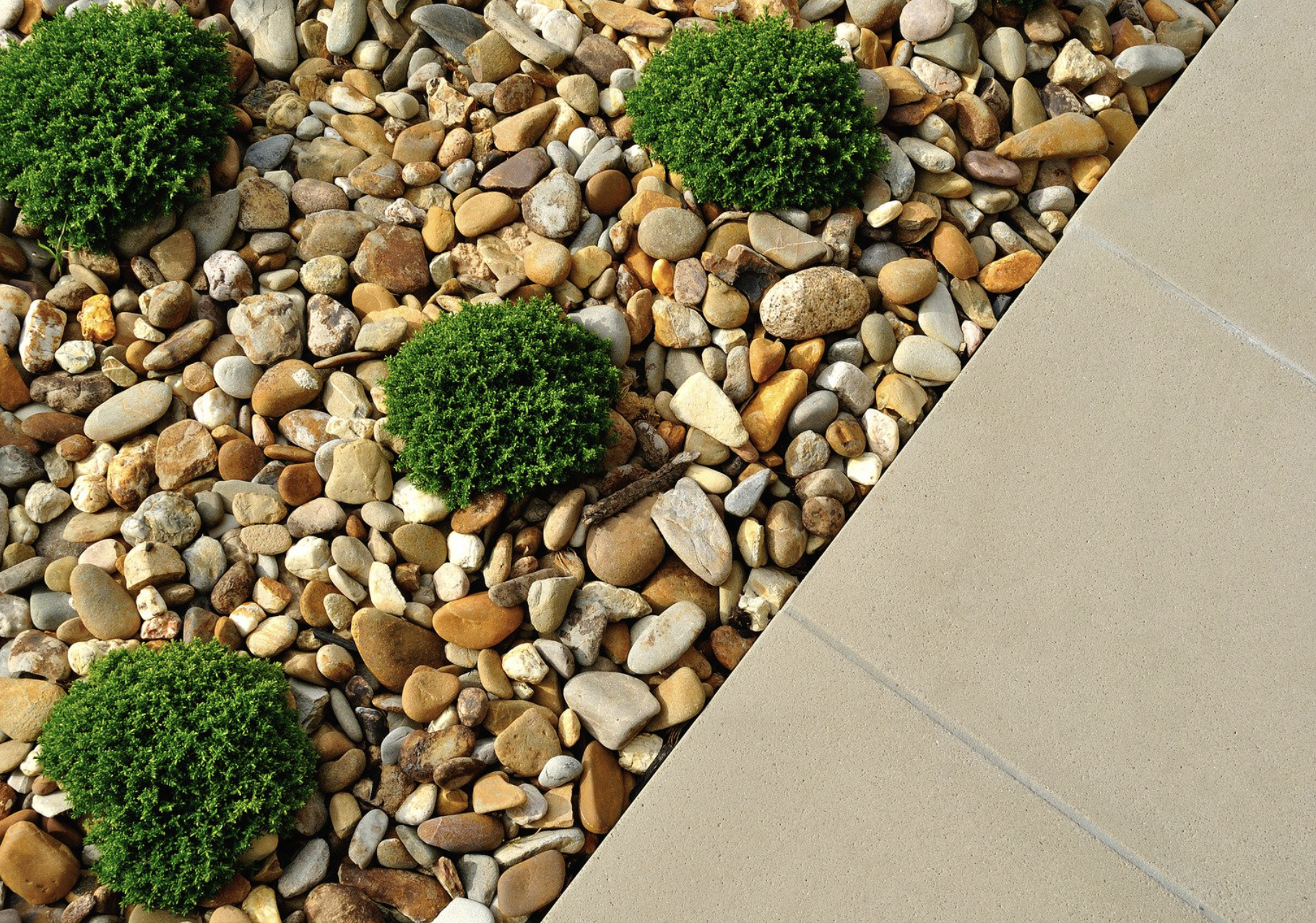 Sustainable landscape with shrubs and rocks